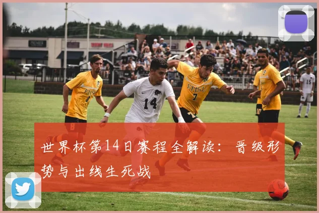 世界杯第14日赛程全解读：晋级形势与出线生死战