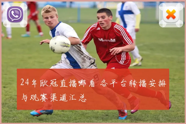 24年欧冠直播哪看 各平台转播安排与观赛渠道汇总