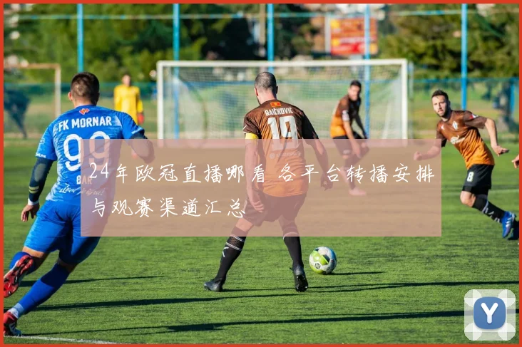 24年欧冠直播哪看 各平台转播安排与观赛渠道汇总