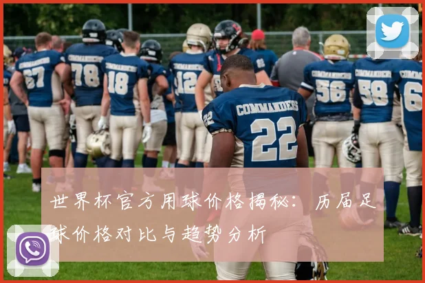 世界杯官方用球价格揭秘：历届足球价格对比与趋势分析