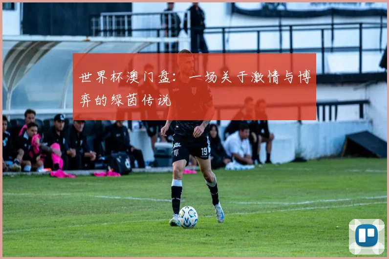 世界杯澳门盘：一场关于激情与博弈的绿茵传说
