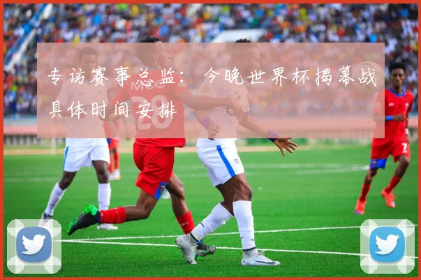 专访赛事总监：今晚世界杯揭幕战具体时间安排
