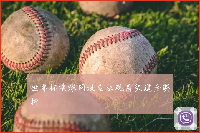 世界杯滚球网址合法观看渠道全解析