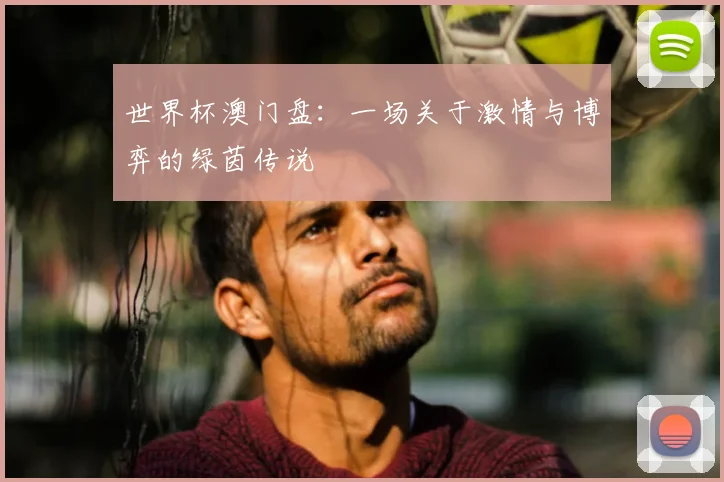 世界杯澳门盘：一场关于激情与博弈的绿茵传说